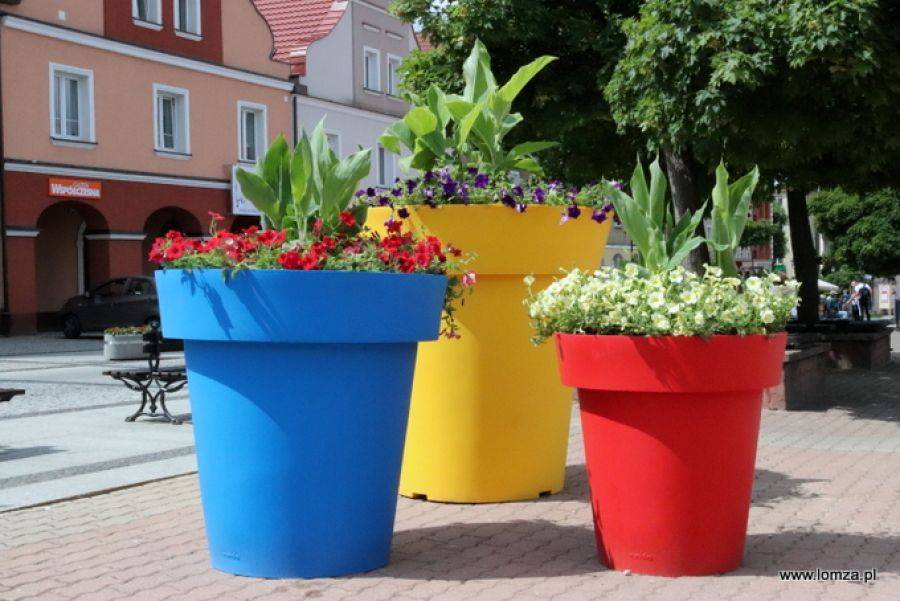 Plebiscyt Terra Flower Power 2018 - Głosuj na Łomżę