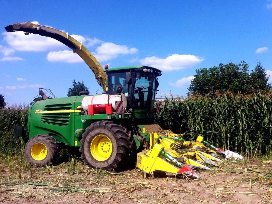Prąd poraził dwóch rolników - obaj nie żyją