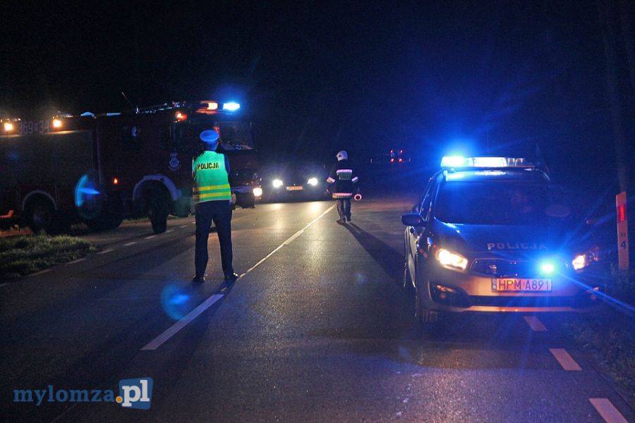 Zbójna: Volkswagen zderzył się z łosiem [FOTO]