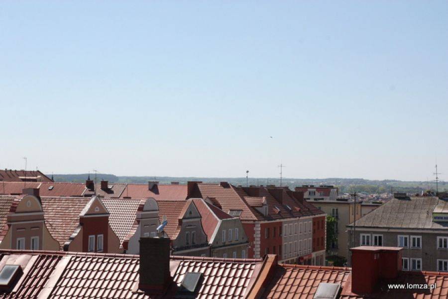 Ruszył program 