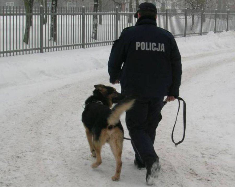 Policja szuka świadków kradzieży