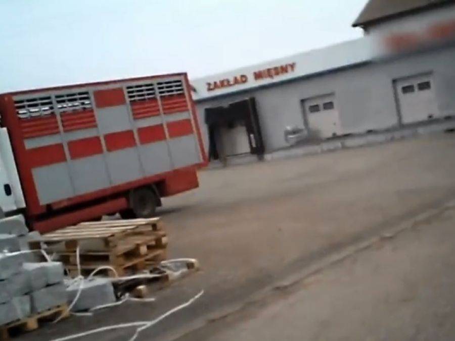 Ubojnia w Kalinowie została zamknięta