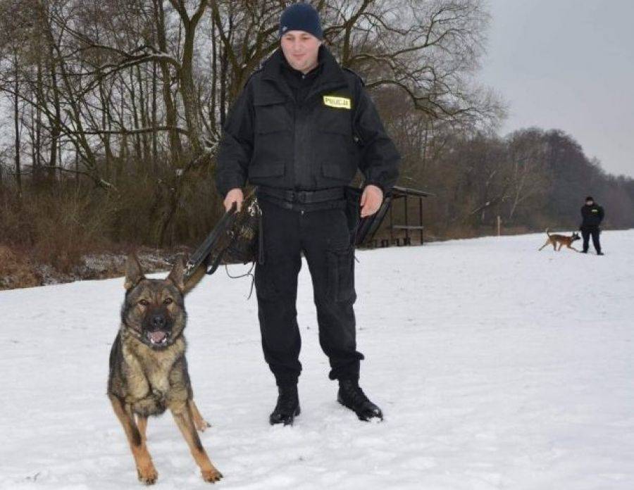 Czworonożni funkcjonariusze zaczynają służbę [FOTO]