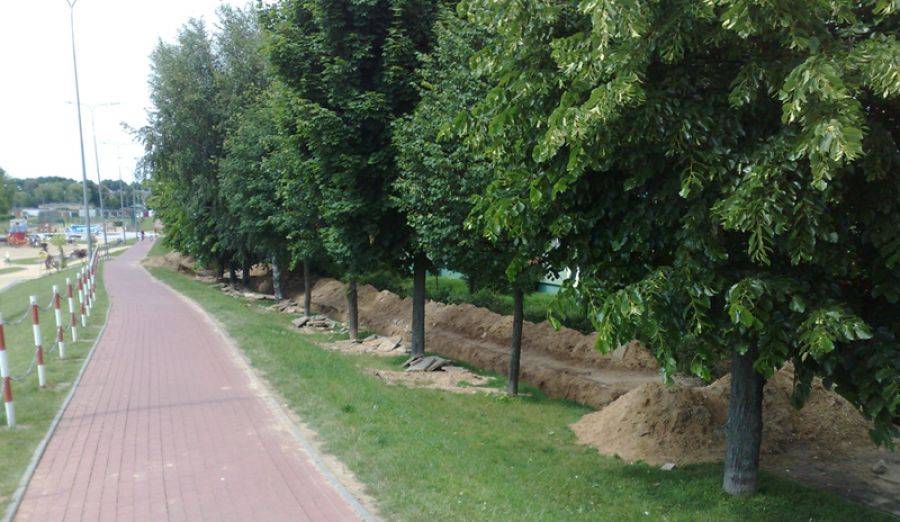Czytelniczka: Głupota dorosłych doprowadzi do wypadku dziecka...- FOTO