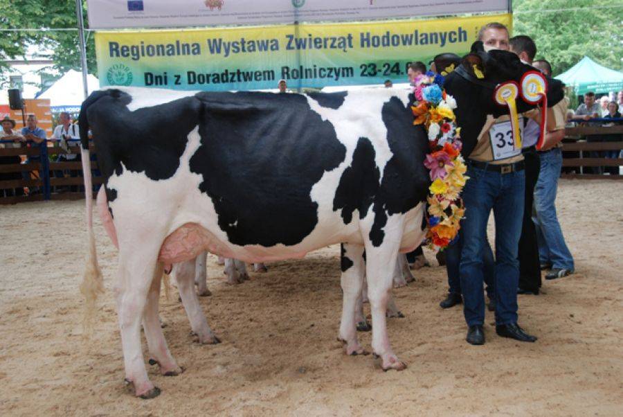 W dwa dni wystawę zobaczyło 90 tys. osób!
