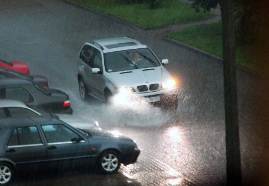 Piorun zabił krowy i ranił kobietę
