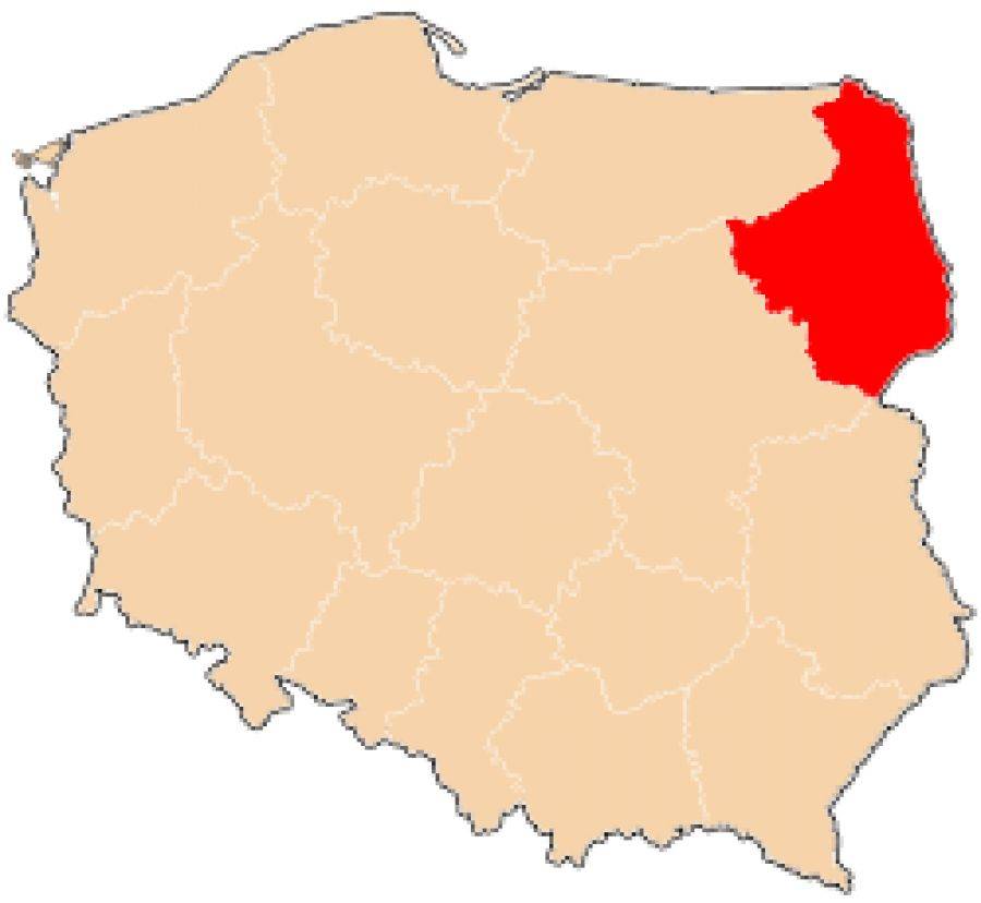Podlaskie i pięć innych województw ma poważny problem- alarmują specjaliści