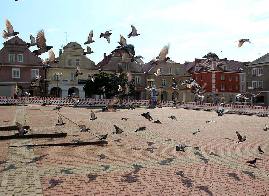 W wyglądzie Starego Rynku będą zmiany?