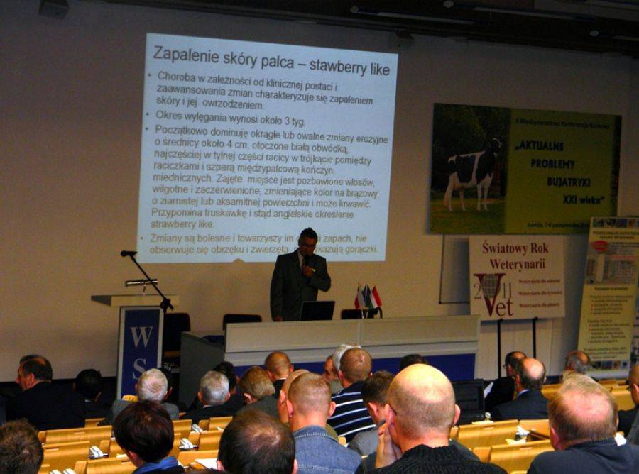 Specjaliści od chorób bydła zjadą do Łomży