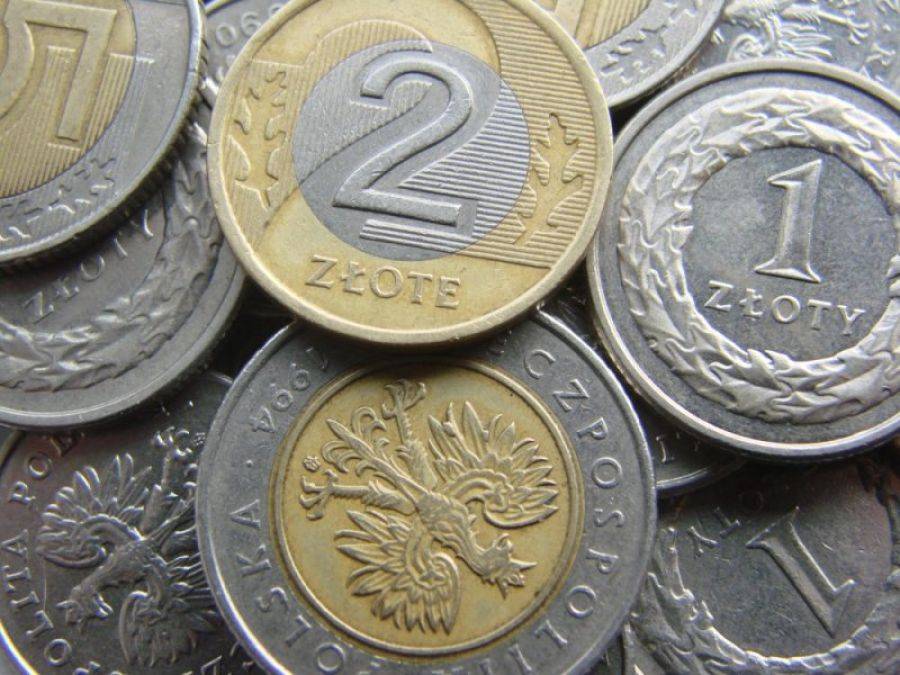 Restauracja pod gołym niebem czy Rock na Bagnie? Województwo pyta, jak wydać 100 tysięcy złotych.