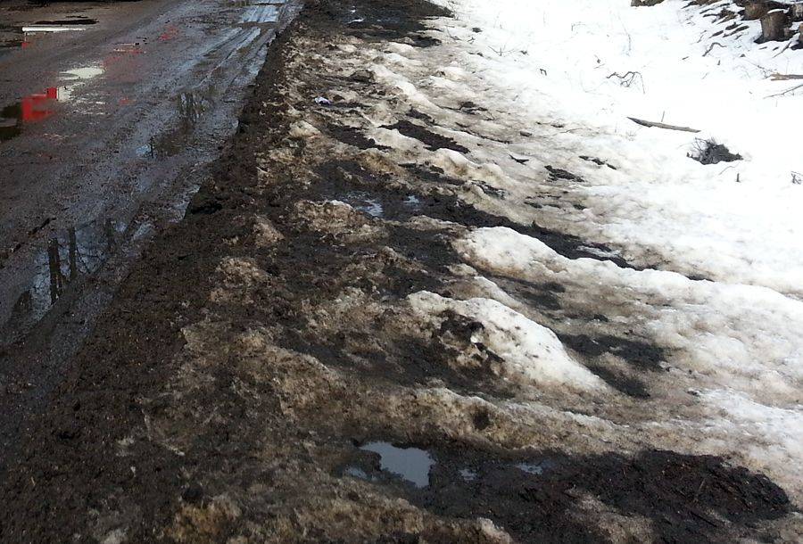 Nareszcie wiosna. Śnieg stopnieje już szybko!