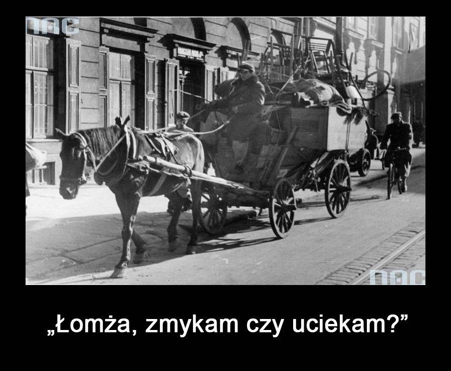 Po Młodemu - o uciekaniu z Łomży