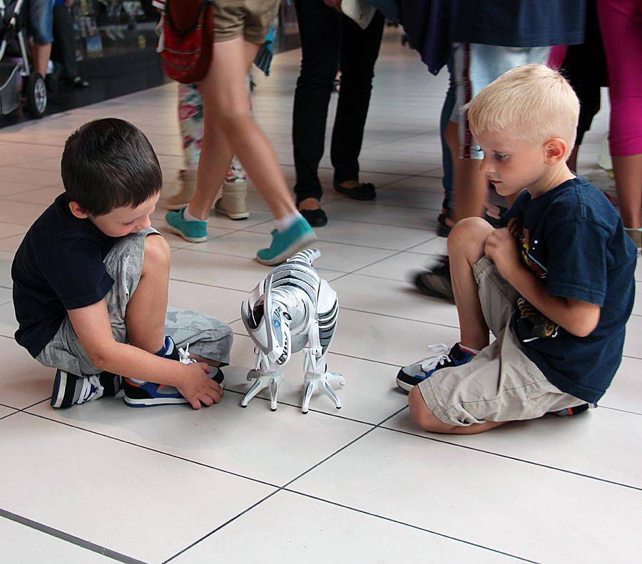 Świat naukowców i robotów w Venedzie- VIDEO i FOTO
