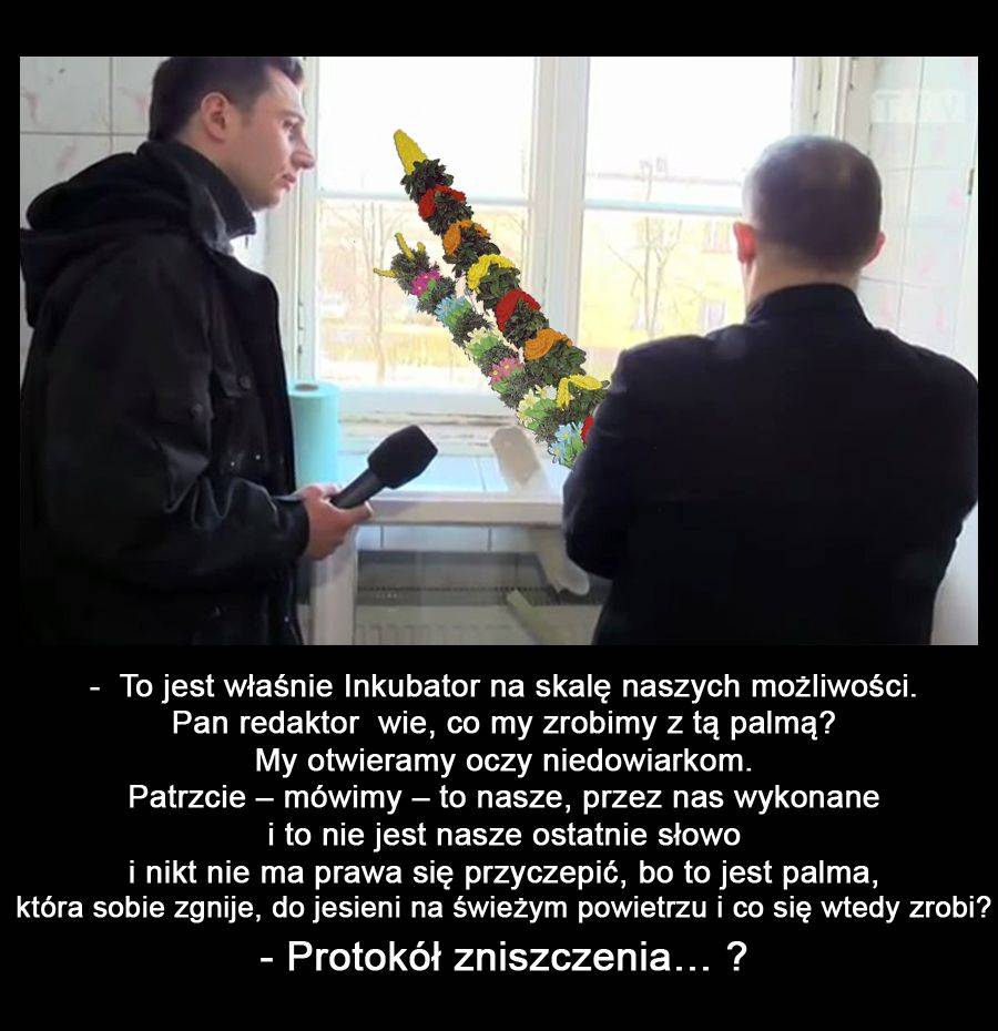 Po Młodemu – o Inkubatorze Przedsiębiorczości