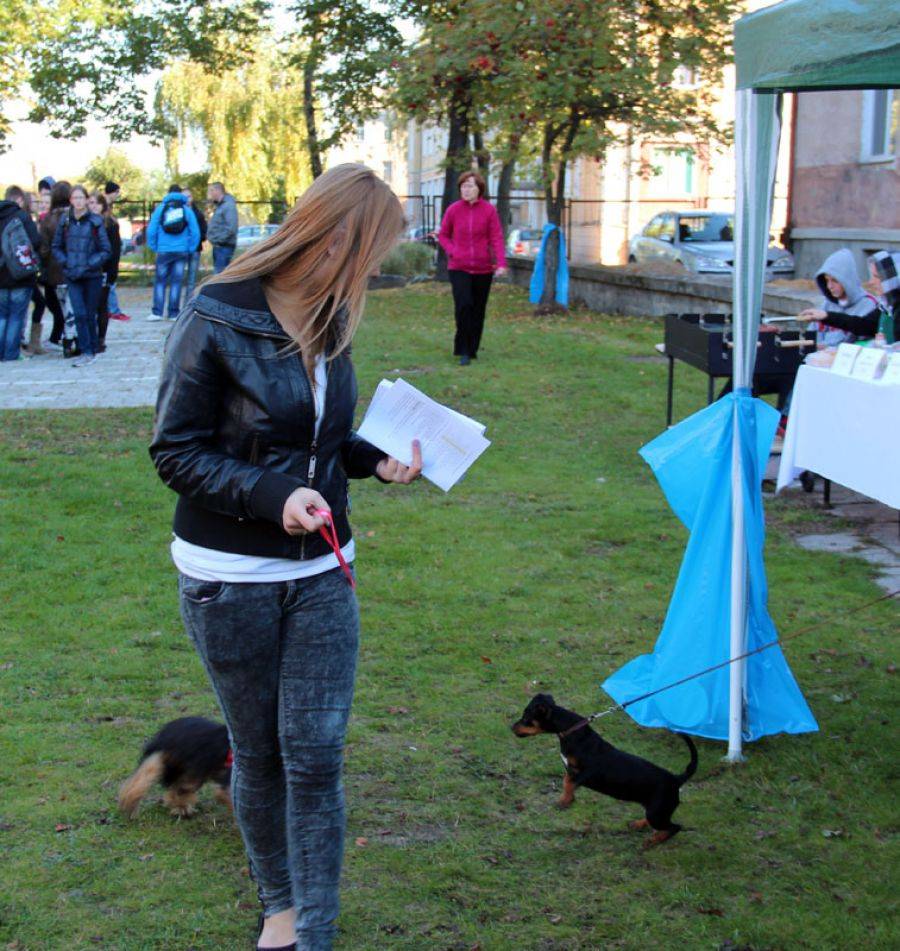 Imieniny św. Franciszka w Wecie [VIDEO+FOTO]