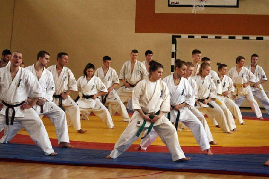 ŁKK: Budynku przy u. Reymonta nie trzeba rozbierać, salę przy SP 2- tak! Walka o Centrum Sportów Wal
