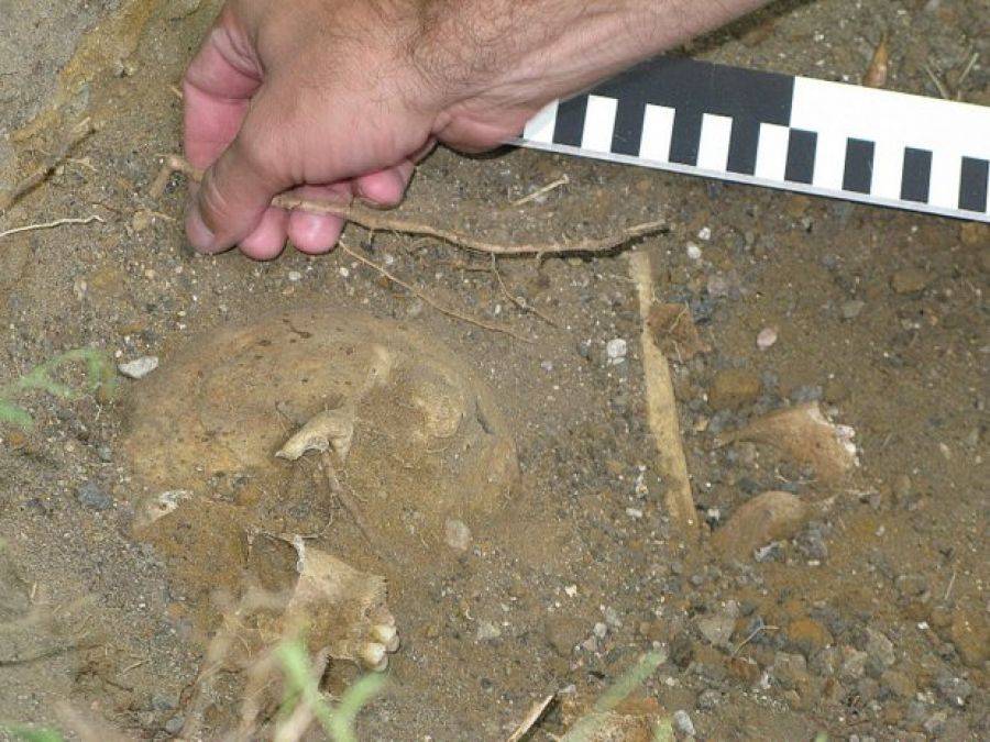 Archeolodzy wrócili do aresztu