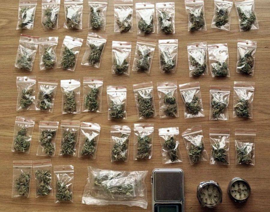 Marihuana własnej produkcji. Nastolatek był gotowy do jej sprzedaży.