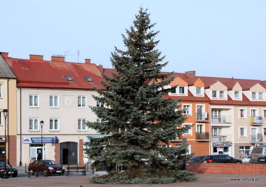 Choinka już stoi. Klimat w mieście coraz bardziej świąteczny. [FOTO]