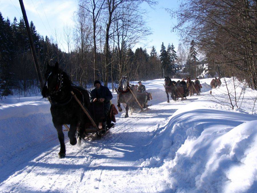 Sezon na kuligi. Niedrogi pomysł na oryginalny weekend.