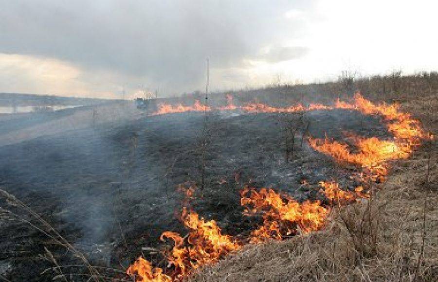 Strażacy znów gasili Forty. Nawet wiatr nie powstrzymał podpalaczy.