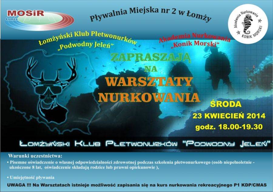 Poznaj podstawy nurkowania [VIDEO]