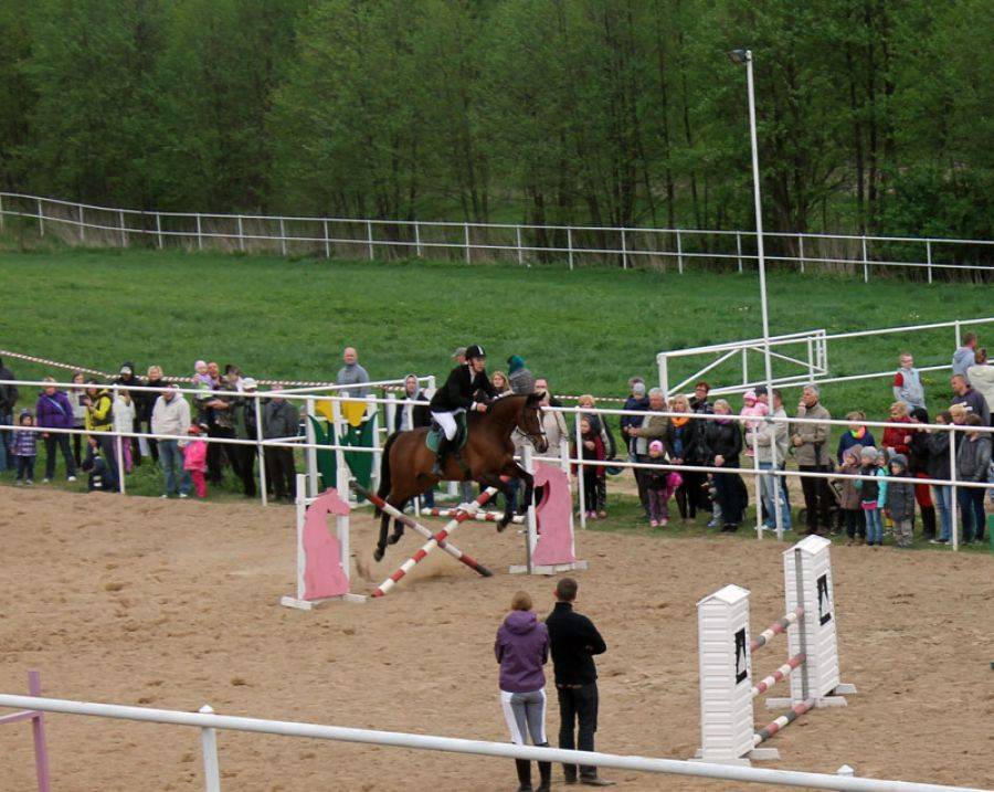 Zebrali pieniądze na hipoterapię. Dzieci będą jeździły za darmo. [FOTO i VIDEO]