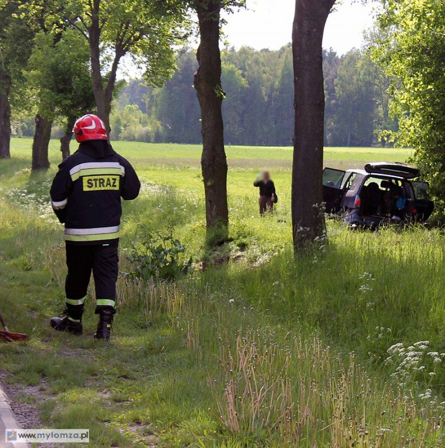 Sześcioosobowa rodzina miała ogromne szczęście. Renault ominęło drzewa i wjechało w pole. [FOTO]