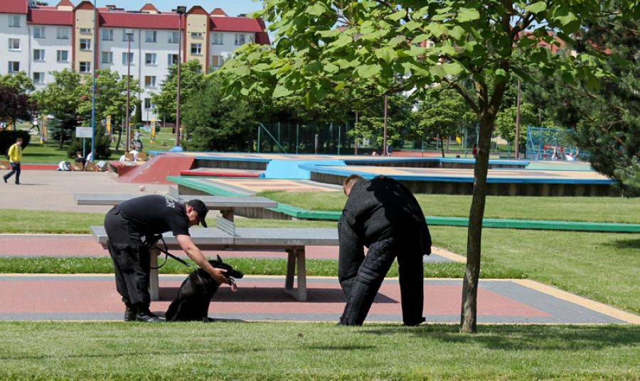 Czworonożni funkcjonariusze. Policjanci szkolili psy. [FOTO]
