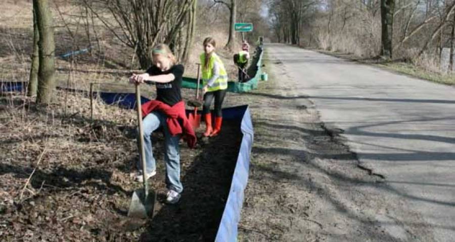 Harcerze: W święta pamiętajmy o starszych i chorych FILM