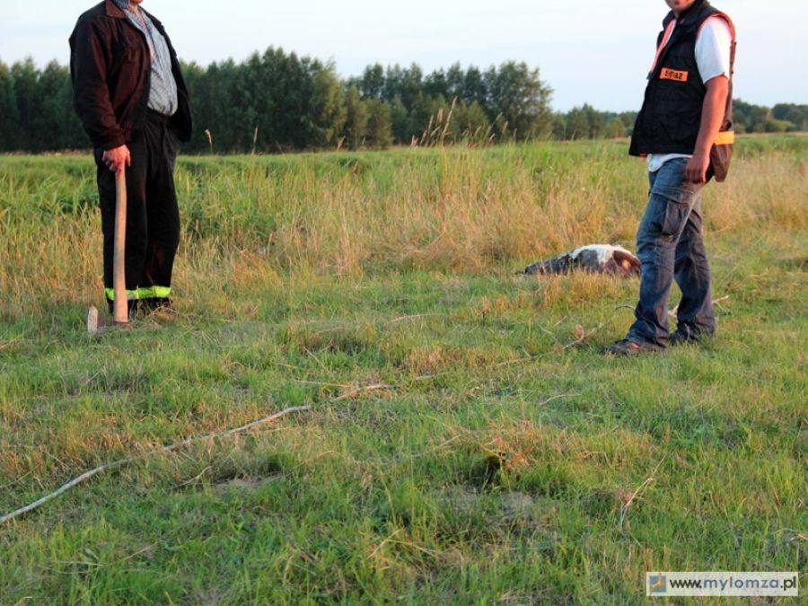 Tak się utylizuje „po naszemu”! [FOTO]
