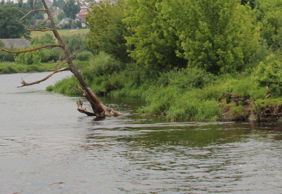 Szukają kajakarza na Narwi.