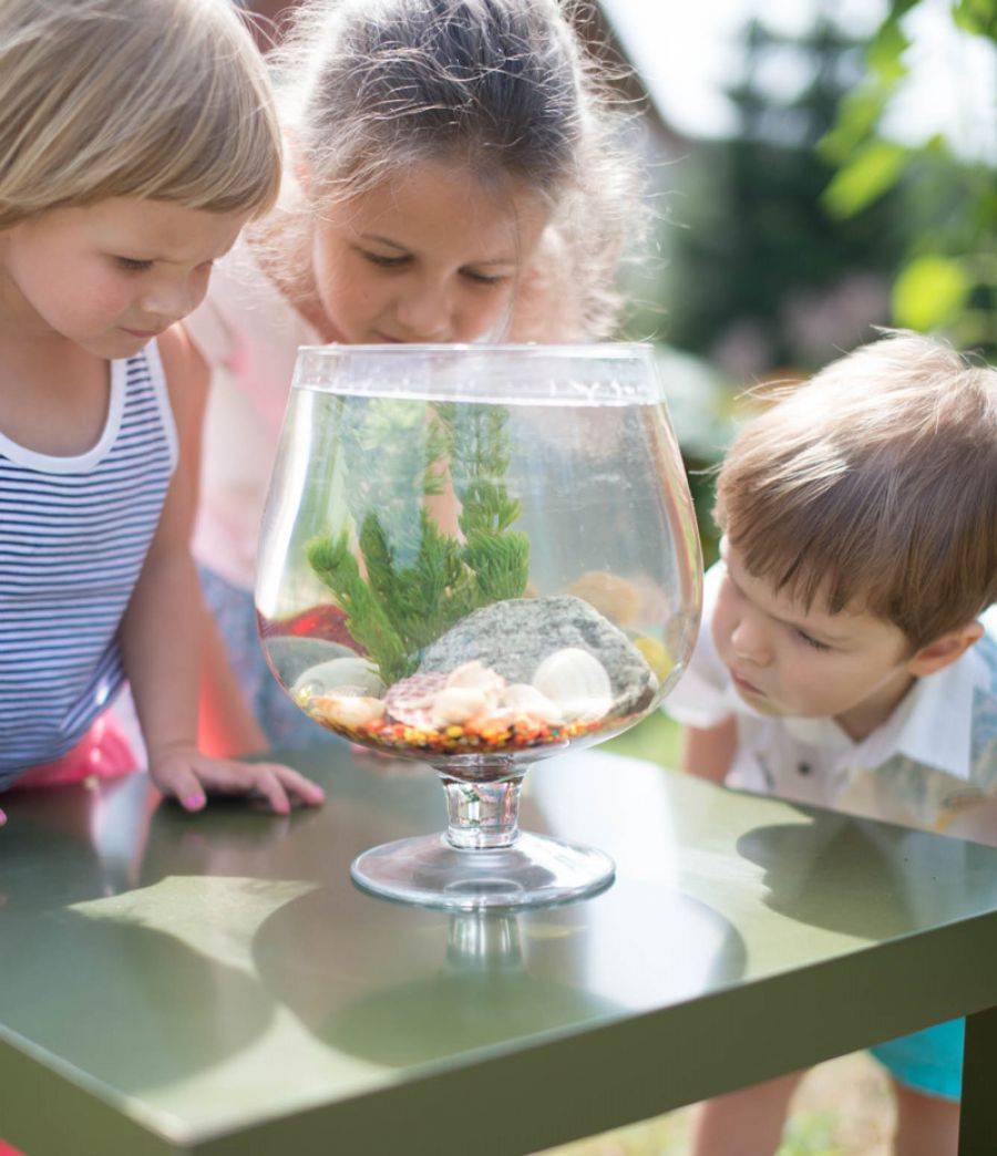 Przedszkole Montessori wkrótce w Łomży. Najpierw spotkanie organizacyjne!