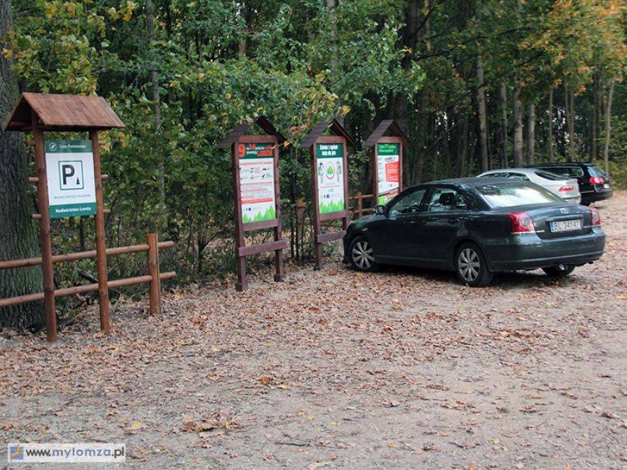 Piękny, nowy parking na skraju lasu [FOTO]