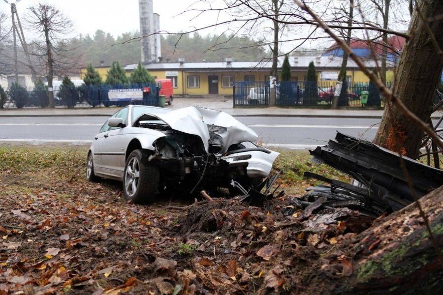Drzewo stanęło na drodze BMW