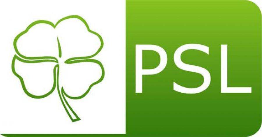 PSL wygrywa wybory do sejmiku