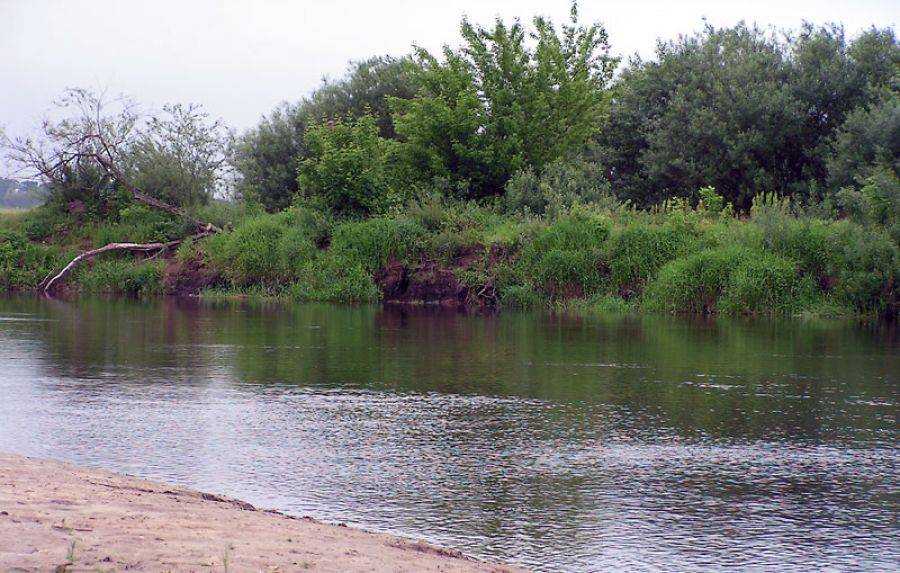 Służby uspokajają - Narew jest czysta
