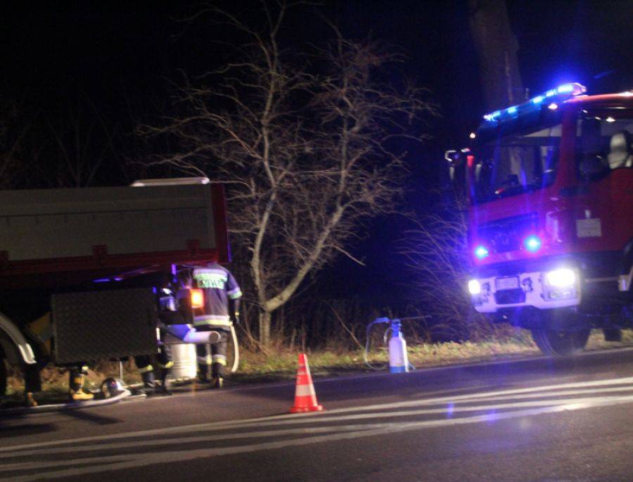 Sprawna akcja strażaków pozwoliła uniknąć skażenia środowiska [FOTO]