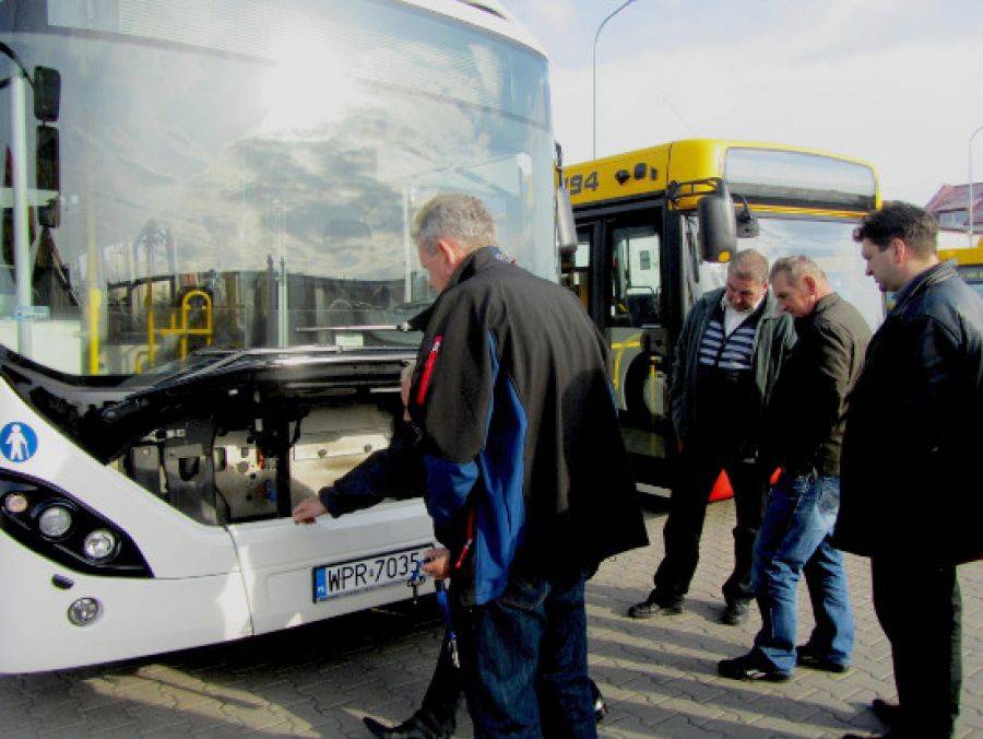 Jak Biała Brygida podbijała Łomżę