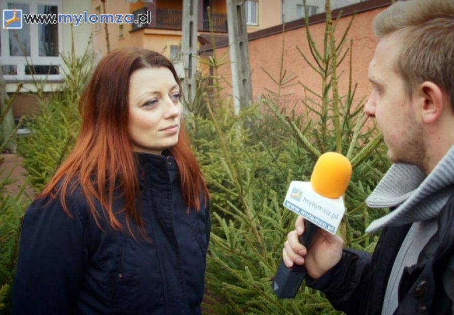 Choinka sztuczna czy prawdziwa? Zobacz co wybierają łomżyniacy! [VIDEO]