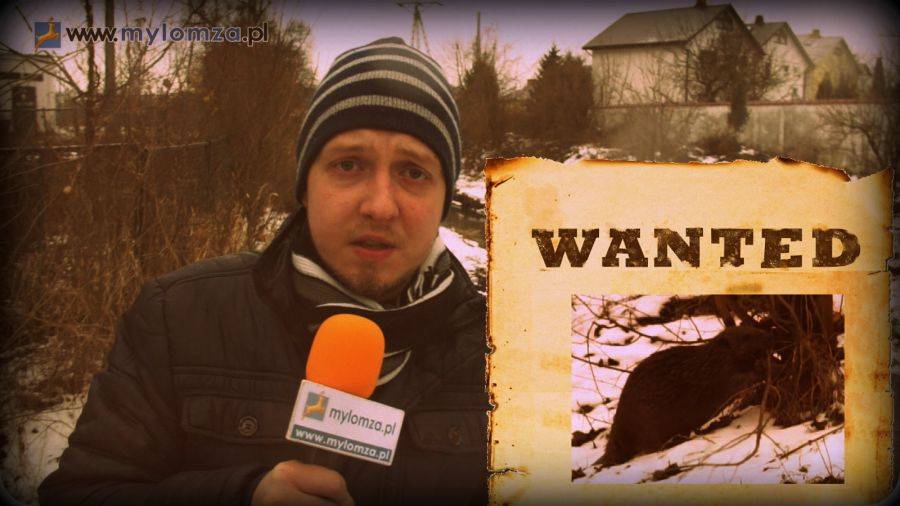 Czy niszczycielska działalność bobrów zostanie ograniczona? [VIDEO]