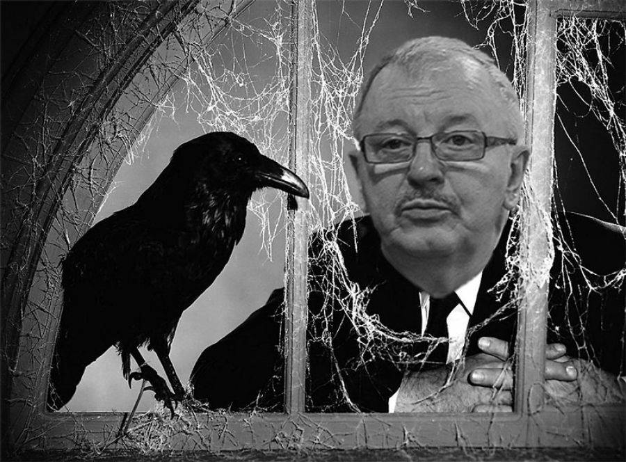Radny i tysiące ptaków jak u Hitchcocka