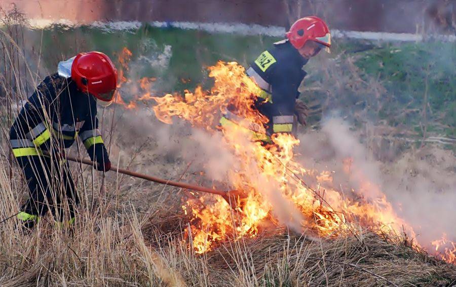 Kolejny dzień płoną trawy. Kilkanaście wyjazdów straży pożarnej 