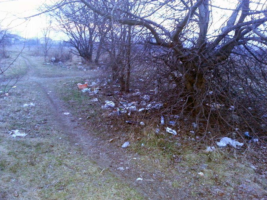 Mieszkańcy: Mieszkamy przy wysypisku śmieci! [FOTO]