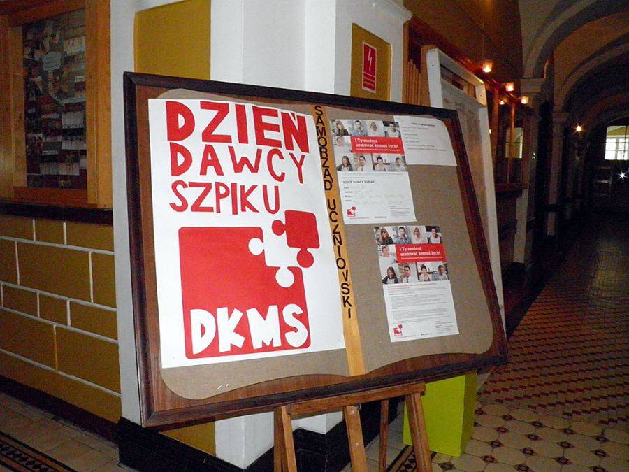 Oddawanie szpiku kostnego. Prawdy i mity [FOTO]