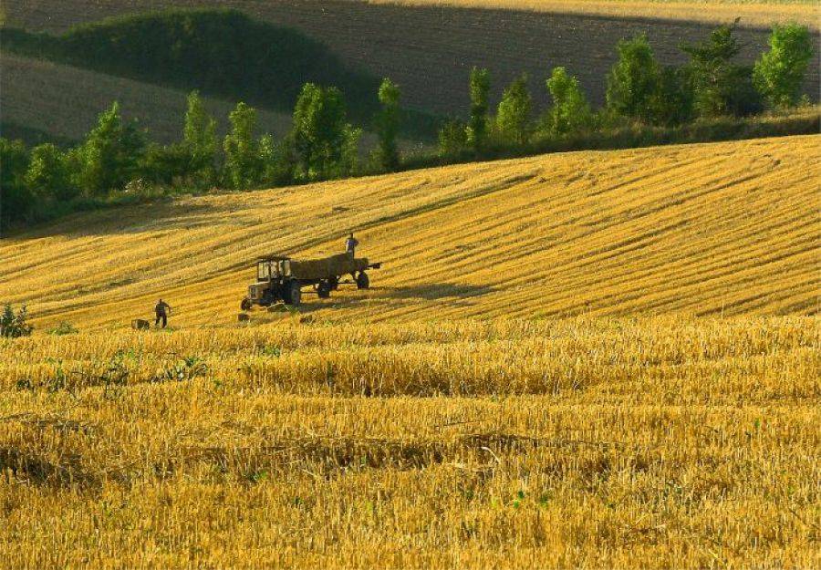 Od 1 kwietnia rolnicy mogą korzystać z kredytów z częściową spłatą kapitału oraz z kredytów klęskowy
