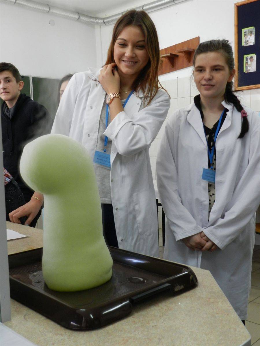 X Warsztaty Ekologiczne w Zespole Szkół Drzewnych i Gimnazjalnych [FOTO]