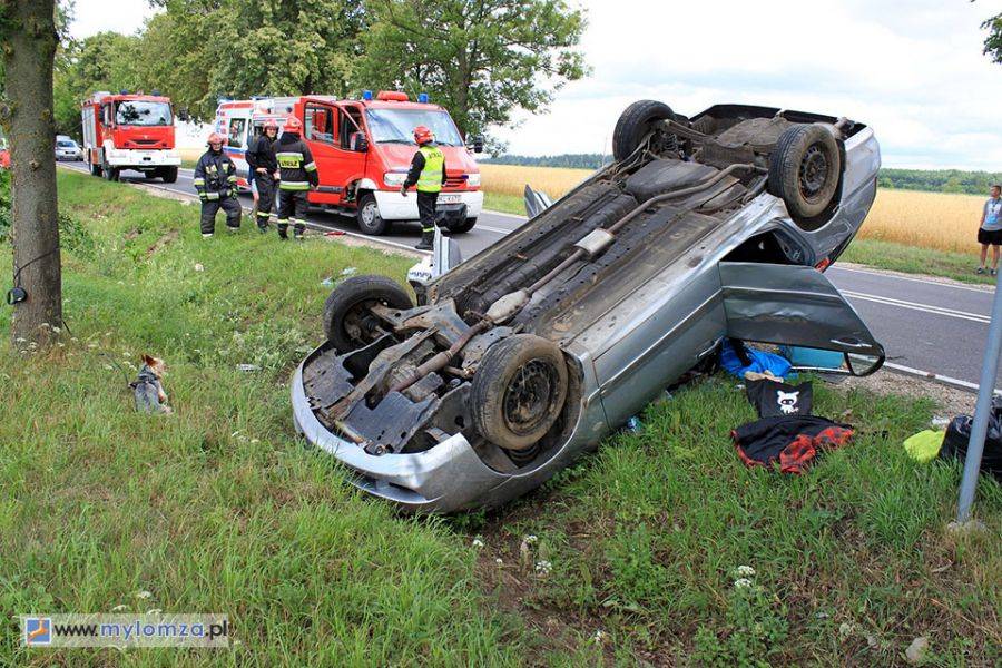 Dachowanie na DK63 za Małym Płockiem [FOTO]