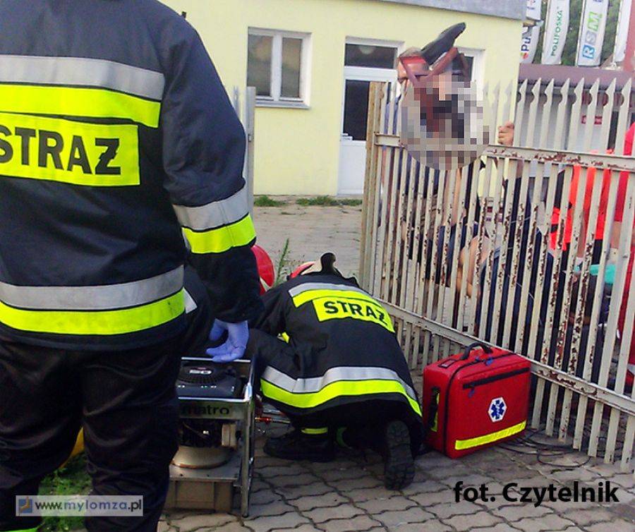 Z przebitą nogą wisiał na ogrodzeniu [VIDEO i FOTO]