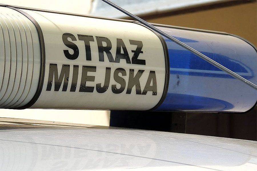 Strażnicy miejscy jak policjanci? Chcą zrównania przywilejów